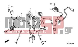 HONDA - XR250R (ED) 2001 - Electrical - WIRE HARNESS/ IGNITION COIL(CL/DK/ED/U)