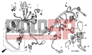 HONDA - FES150 (ED) 2001 - Electrical - WIRE HARNESS