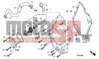 HONDA - SH300A (ED) ABS 2007 - Engine/Transmission - RIGHT CRANKCASE COVER-WATER PUMP