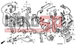 HONDA - FJS600A (ED) ABS Silver Wing 2007 - Electrical - WIRE HARNESS