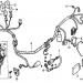 HONDA - FES250 (ED) 2002 - ElectricalWIRE HARNESS