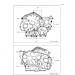 KAWASAKI - VULCAN® 900 CUSTOM 2012 - Engine/TransmissionCrankcase Bolt Pattern