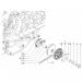 PIAGGIO - LIBERTY 125 4T 2V E3 2012 - Engine/Transmissiondriving pulley