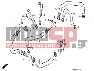 HONDA - XL600V (IT) TransAlp 1990 - Engine/Transmission - WATER PIPE - 19503-MM9-000 - PIPE COMP., WATER