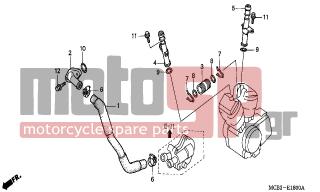 HONDA - XL650V (ED) TransAlp 2000 - Engine/Transmission - WATER PIPE - 19512-MBA-000 - PIPE COMP., RR. OUTLET WATER