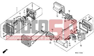 HONDA - C50 (GR) 1988 - Electrical - WINKER (C50DF/G/DG/SN) - 33660-GB1-600 - CORD COMP., L. WINKER