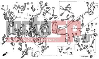 HONDA - VFR800 (ED) 2006 - Electrical - WIRE HARNESS(VFR800) - 32100-MCW-H01 - HARNESS, WIRE