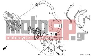 HONDA - CBR600RR (ED) 2006 - Engine/Transmission - WATER PUMP - 11355-MEE-000 - PLATE, DRIVE CHAIN GUIDE