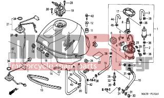 HONDA - CBR1100XX (ED) 1999 - Body Parts - FUEL TANK (X/Y/1/2/3/4) - 16720-MAT-D01 - STAY COMP., FUEL PUMP