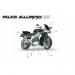 Aprilia - SL 1000 FALCO 2000 - FrameAcc. - Special chassis