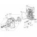 Gilera - NEXUS 250 SP E3 2007 - Engine/TransmissionCOVER flywheel magneto - FILTER oil